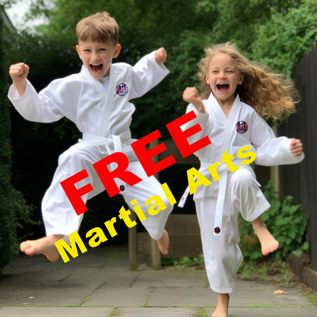 Main image of James Welsh Schools of Taekwondo