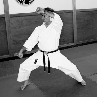 Main image of Japan Karate Association of Chicago