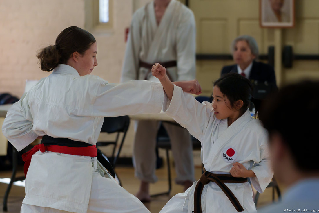 Main image of Japan Karate Association of Montville