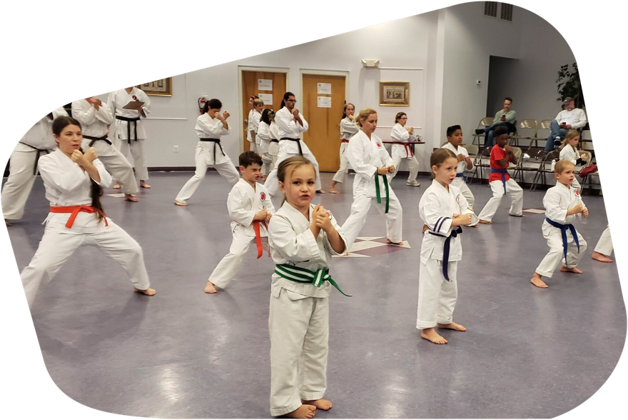 Main image of Japan Karate Institute Meeting Street