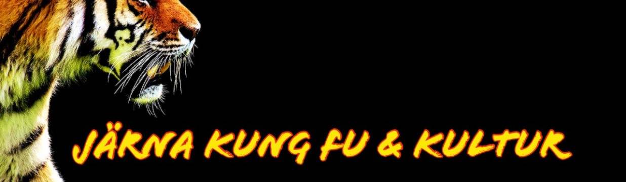 Main image of Järna Kung fu & kultur