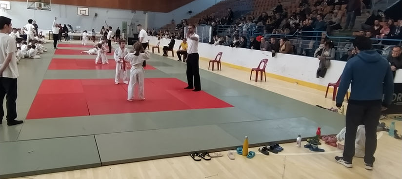 Main image of Jf Judo Cholet
