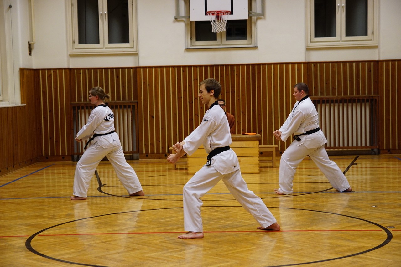 Main image of Jidokwan Taekwondo Austria