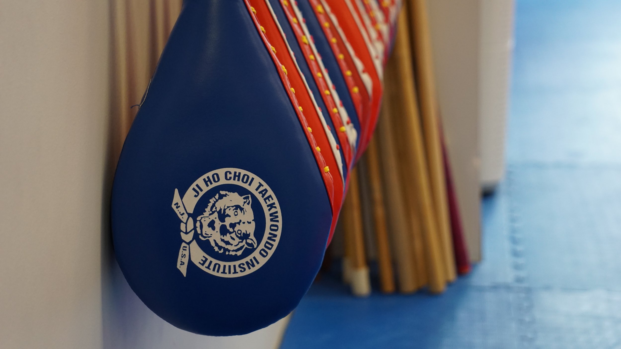 Main image of JiHoChoi Taekwondo Institute