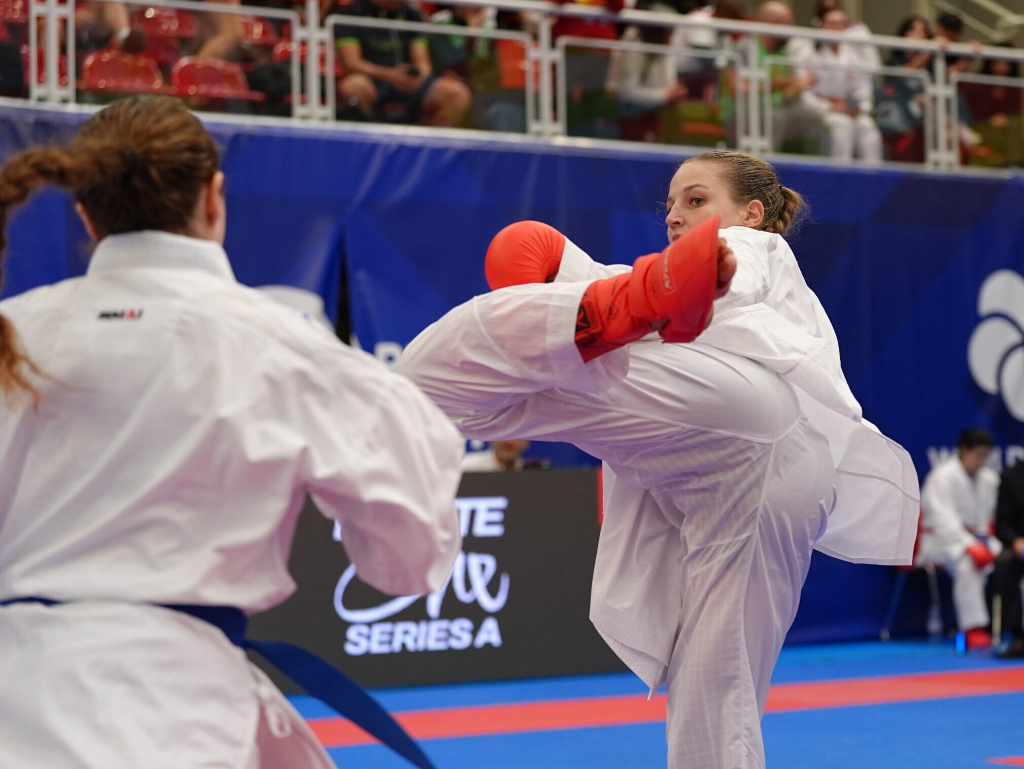 Main image of Jihomoravské karate