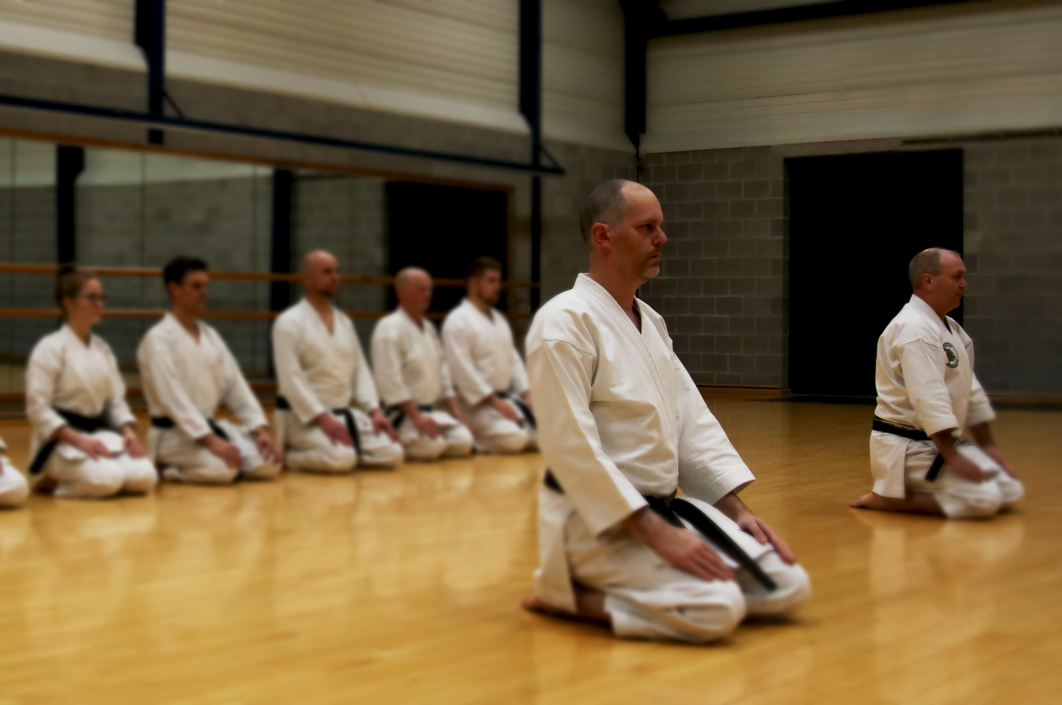 Main image of Jishin - Katsu dojo