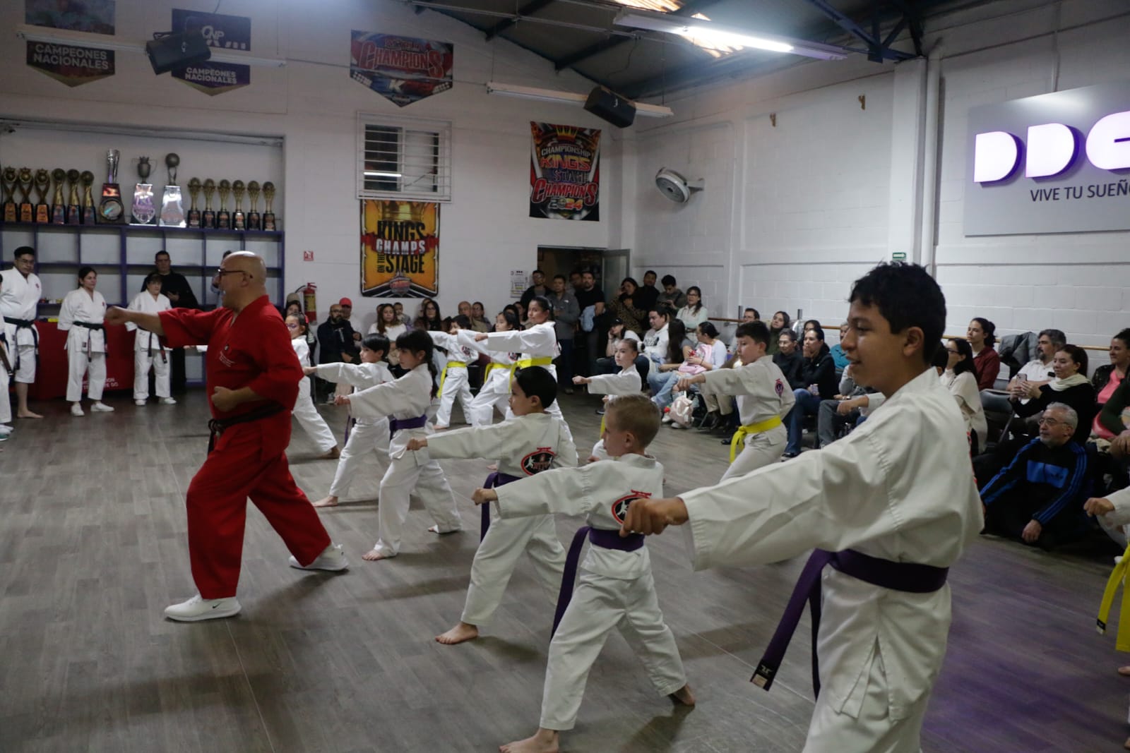 Main image of Jitte Organization Karate Do