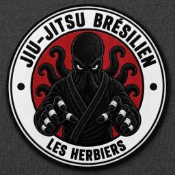 Main image of Jiu jitsu club les herbiers