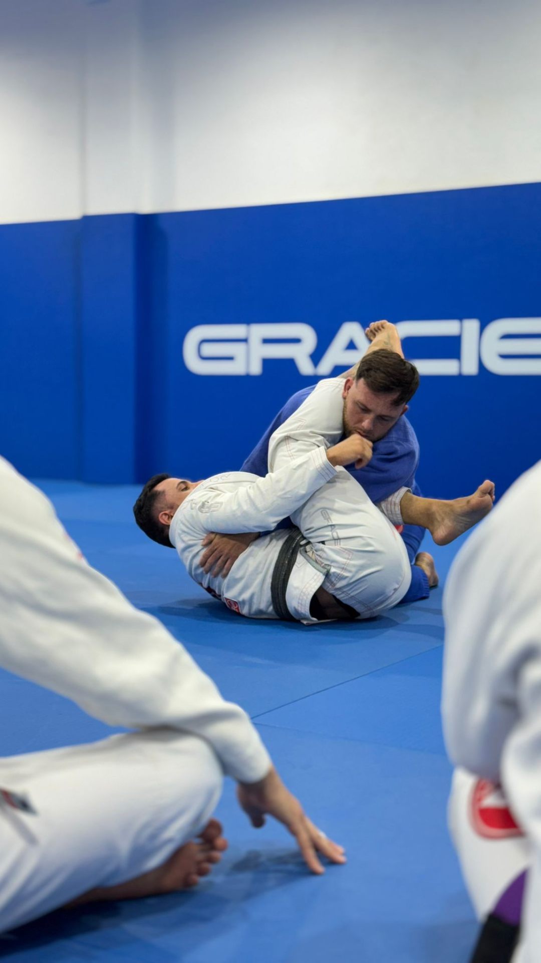 Main image of Jiu Jitsu - Gracie Barra Ameixoeira