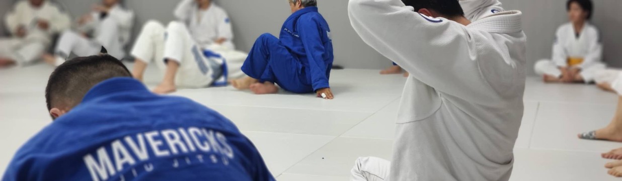 Main image of Jiu Jitsu Journey