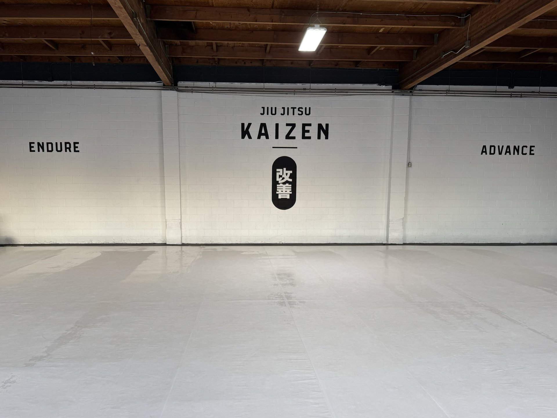 Jiu-Jitsu Kaizen