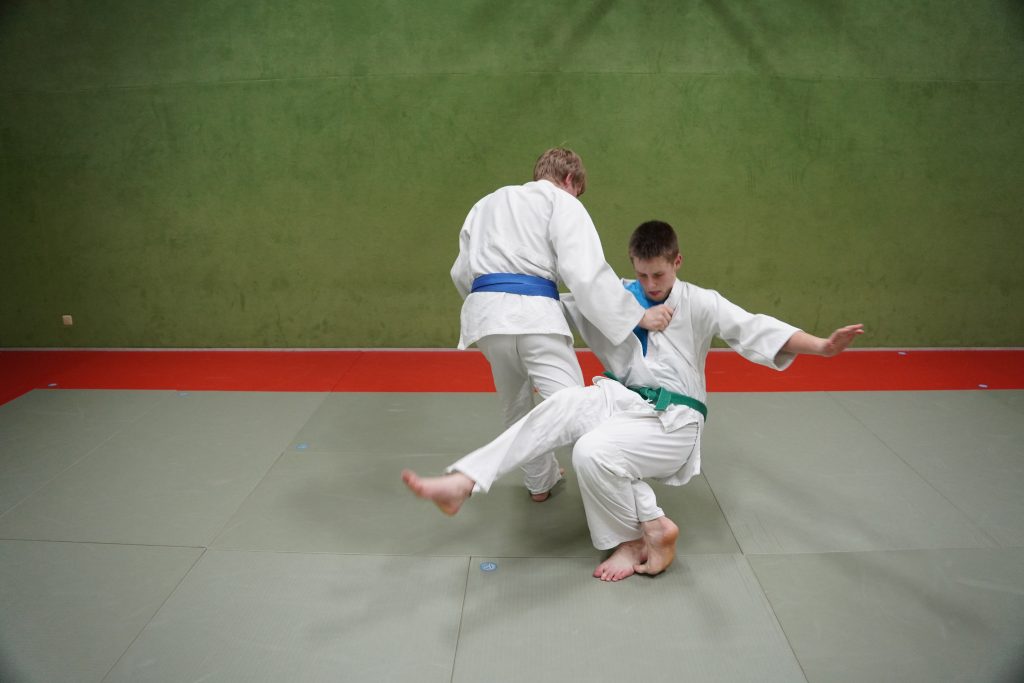Main image of Jiu Jitsu KSV Göpfritz/Wild