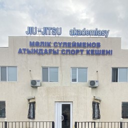 Main image of jiujitsu samal