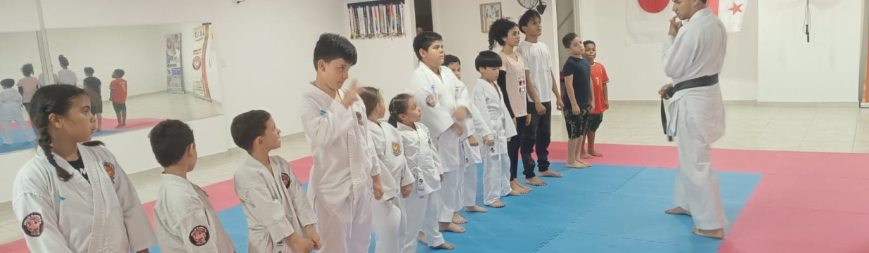 Main image of Jokyu karate do