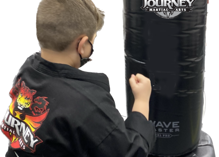 Main image of Journey Martial Arts, Miller Place