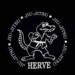 Main image of JU-JITSU HERVE
