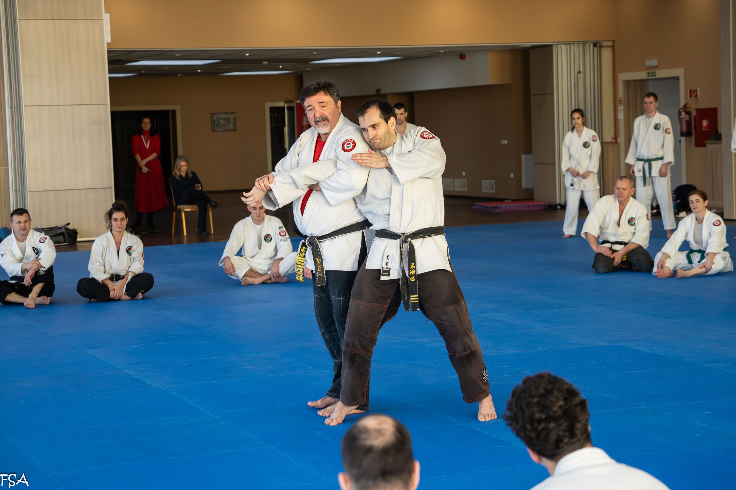Main image of Ju Jitsu Központi Dojo