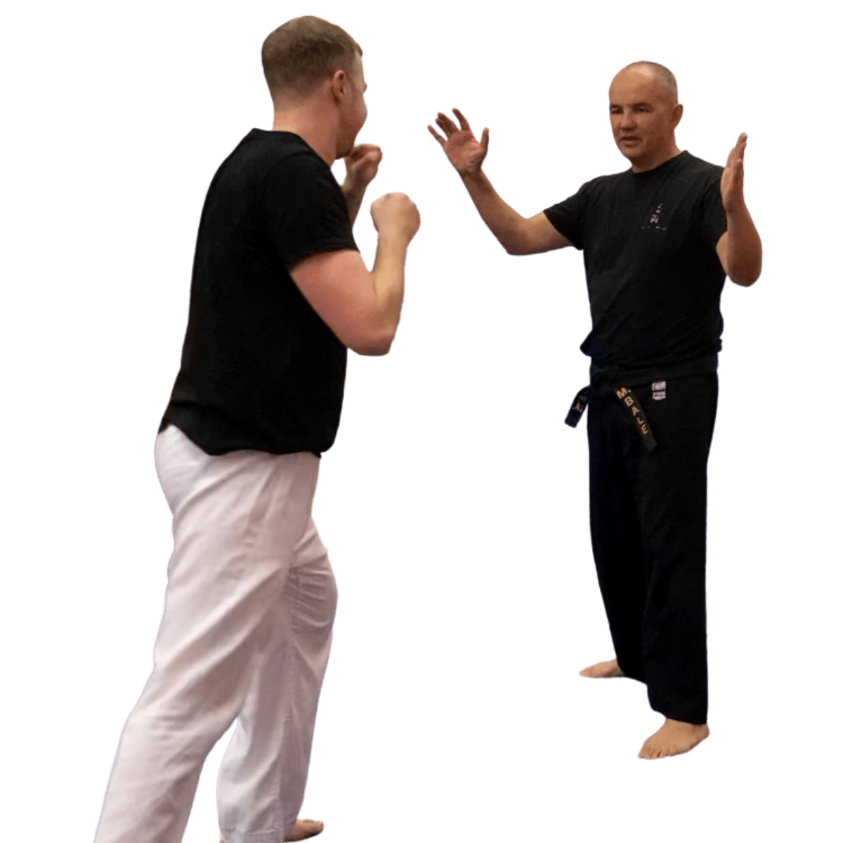 Main image of Ju Jitsu Rugby