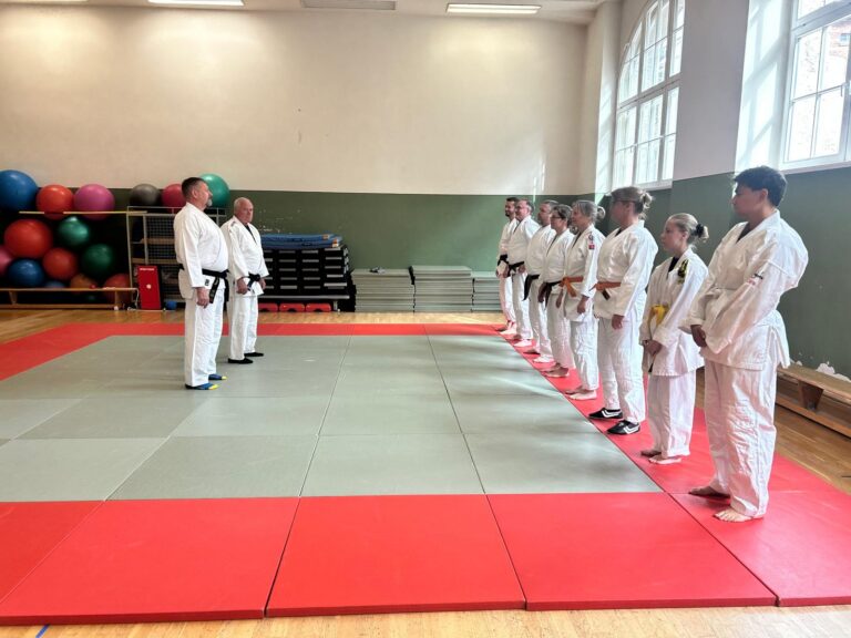 Main image of Ju-Jitsu Sachsen-Anhalt