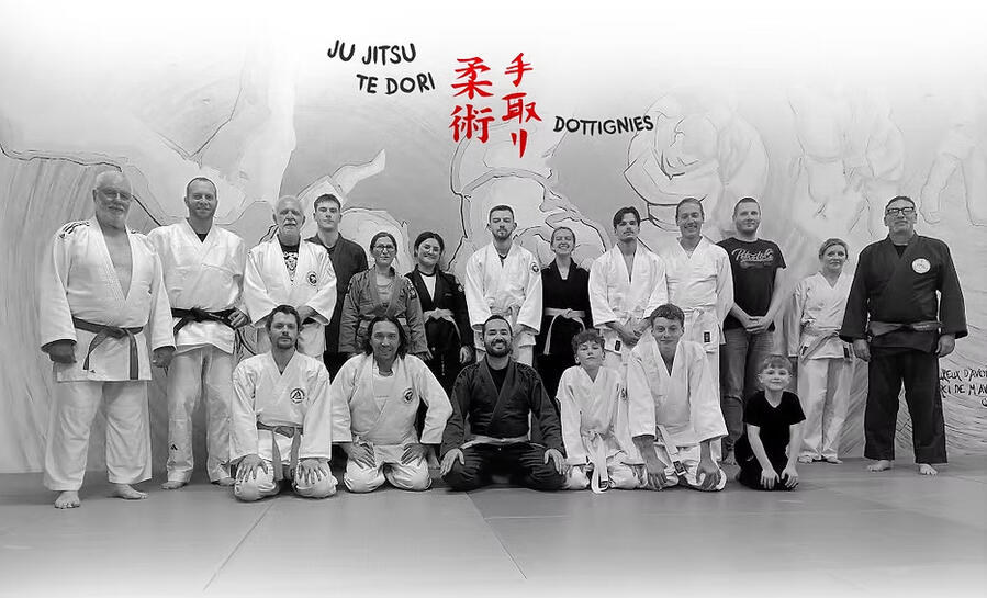 Main image of Ju-Jitsu Te Dori - Dottignies