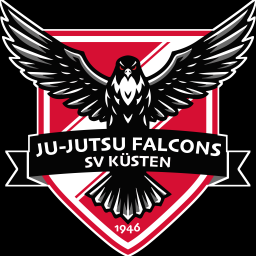 Main image of Ju-Jutsu Falcons SV Küsten