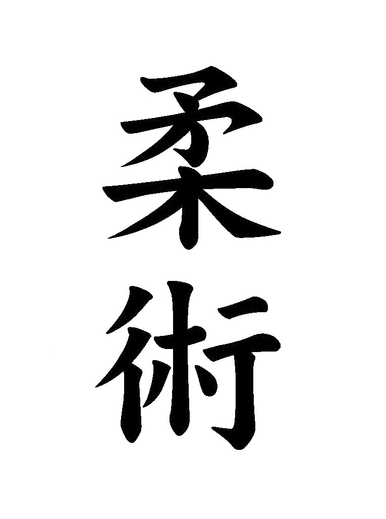 Main image of Ju Jutsu Turnov
