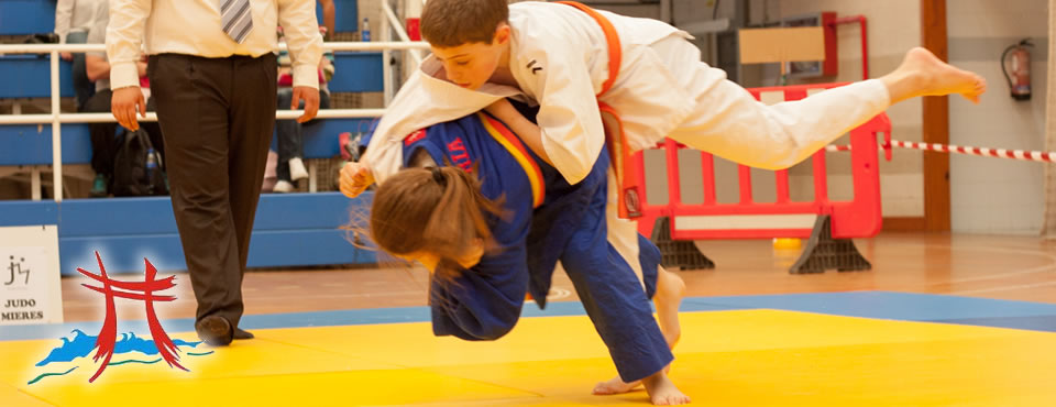 Main image of Judo Asalia Beya