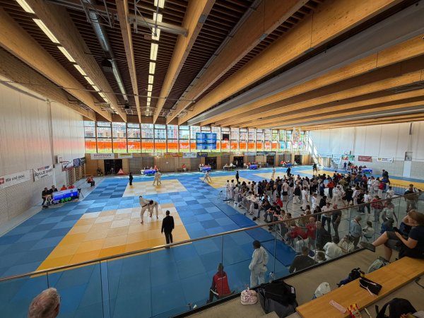 Main image of Judo Budo Club Bellinzona