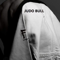 Main image of Judo Bull