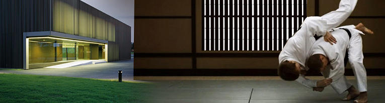 Main image of Judo-Club Cheseaux