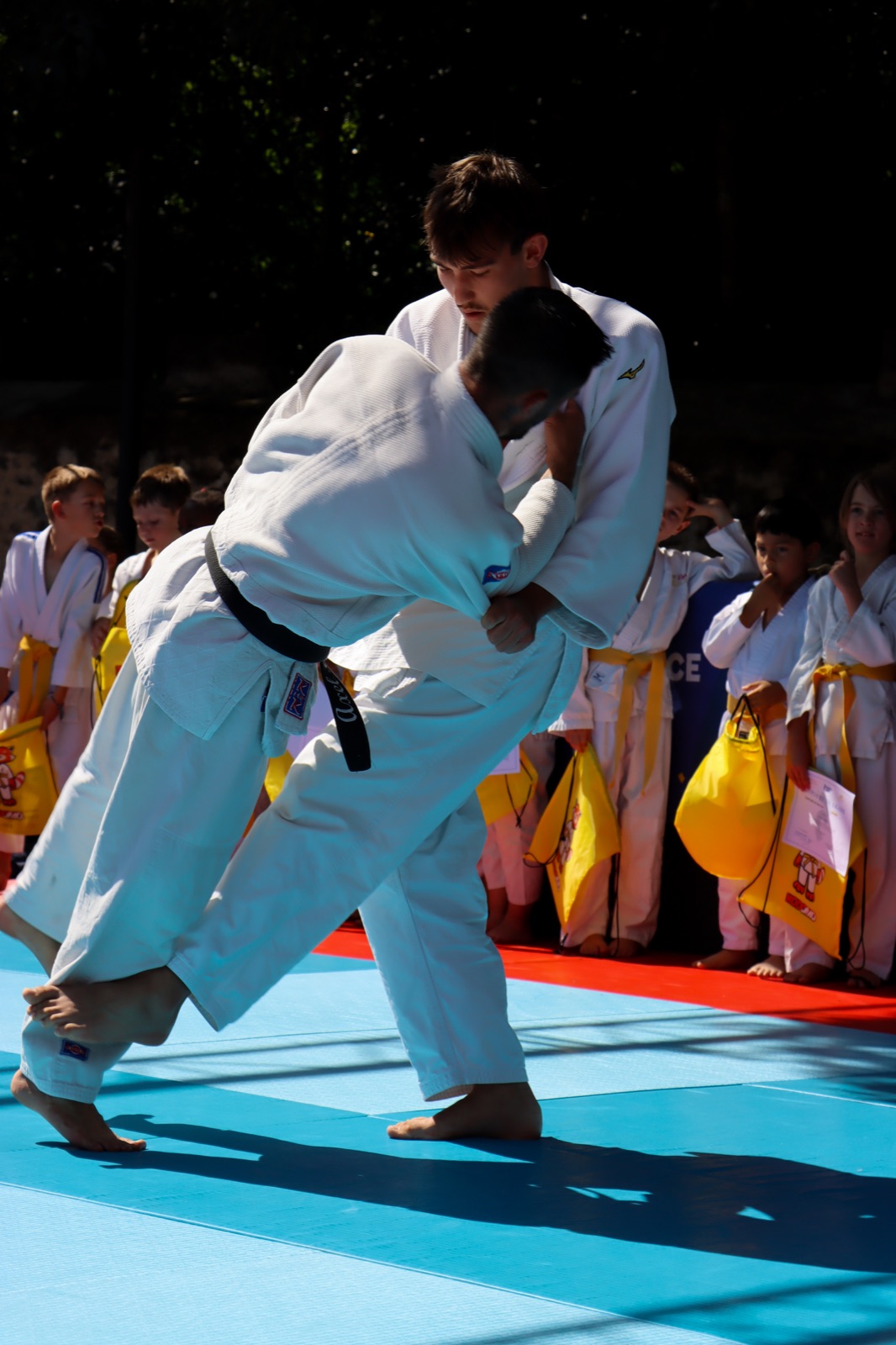 Main image of Judo Club des Albères – Club de judo Saint-André