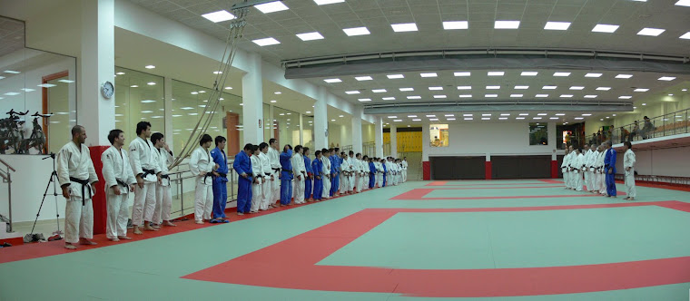 Main image of Judo Club Donostia
