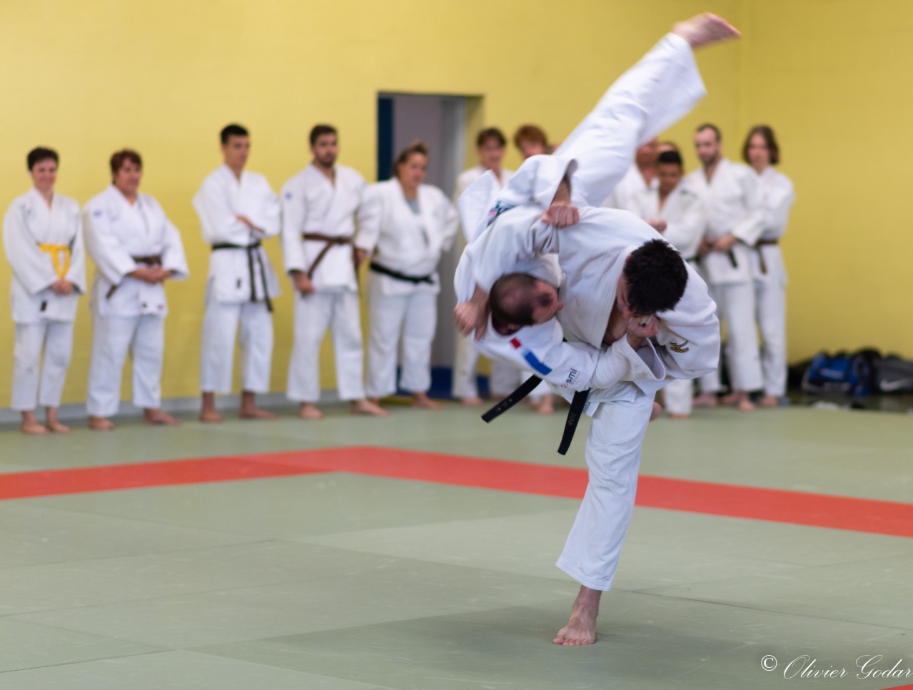 Main image of Judo Club Dourdan