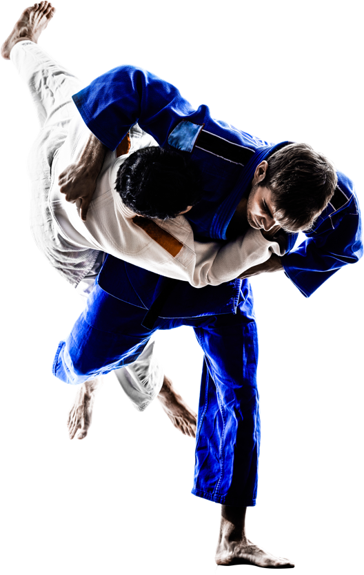 Main image of Judo Club Saint-Pierre d'Oléron