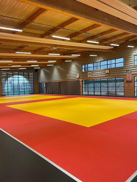 Main image of Judo Club Surgères