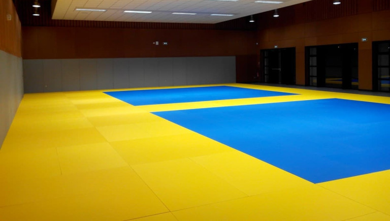 Main image of Judo Club Terres de Montaigu