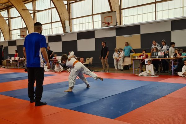 Main image of Judo-Club Trois-Chêne