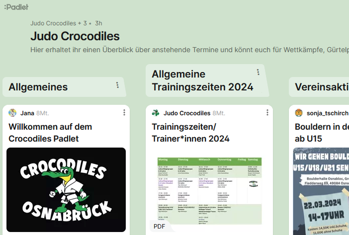Main image of Judo Crocodiles
