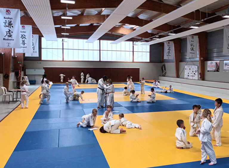 Main image of JUDO DOJO Saint Lois