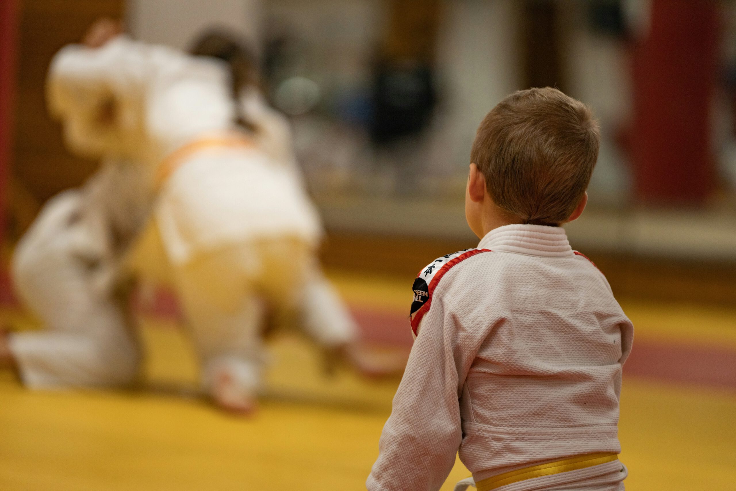 Main image of Judo Grappling Graz