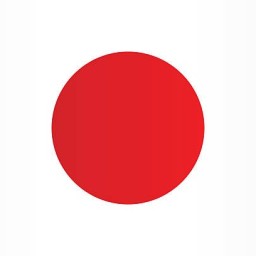 Main image of Judo Japan