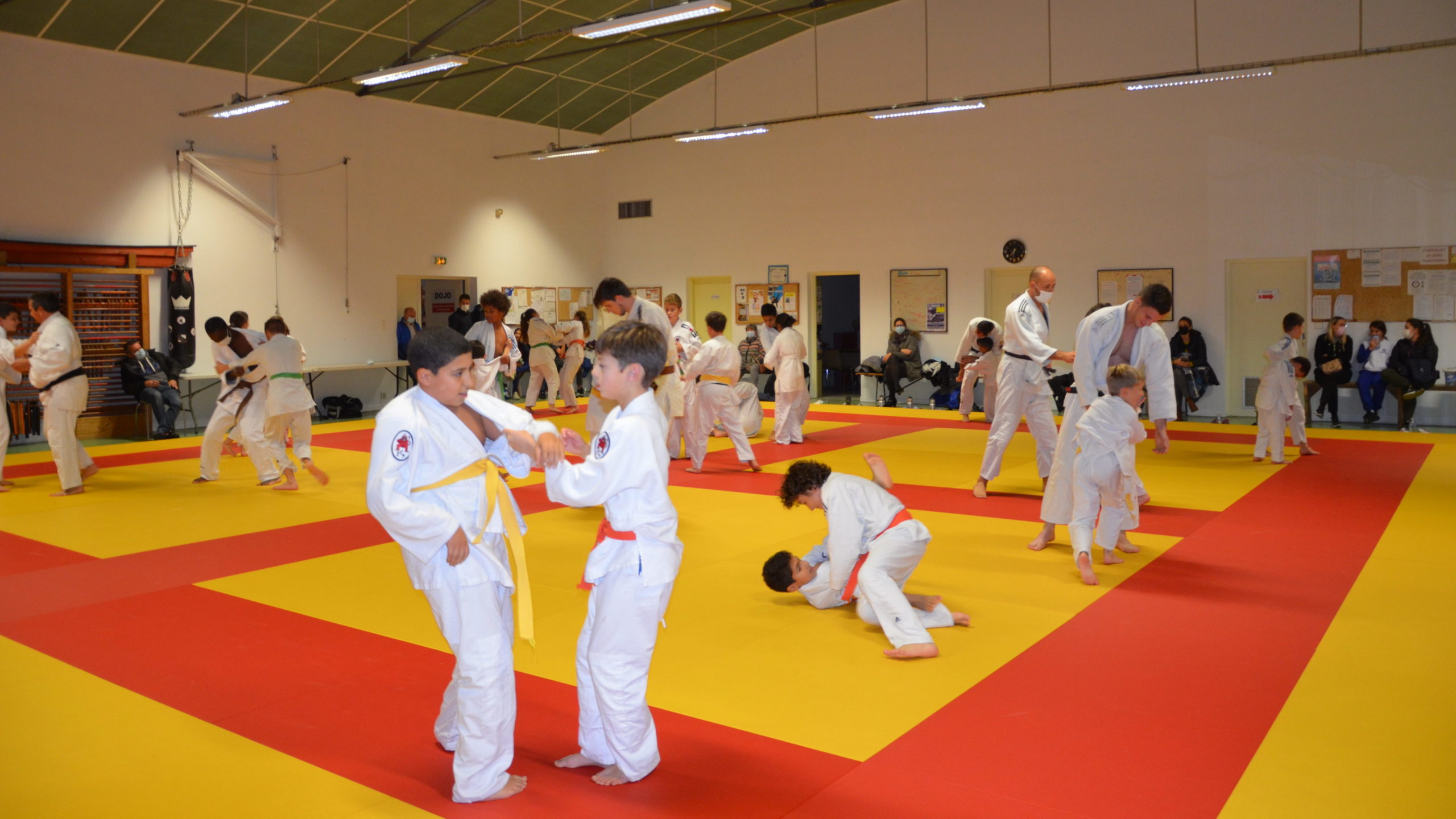 Main image of Judo Jjb Fenouillet
