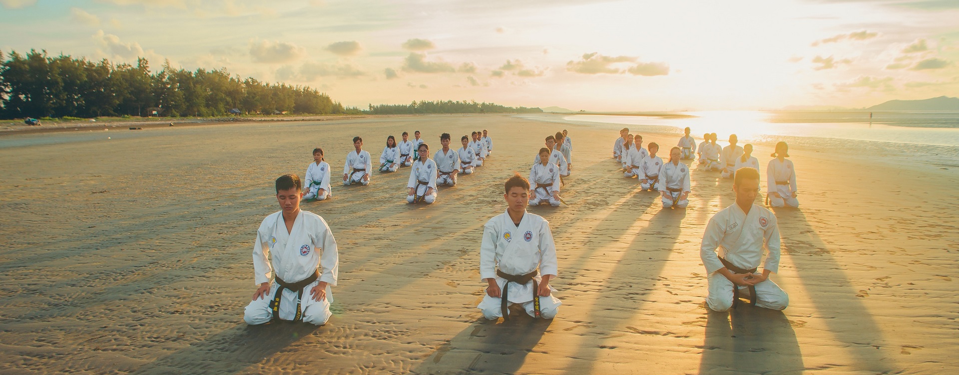 Main image of Judo/ju-jutsu