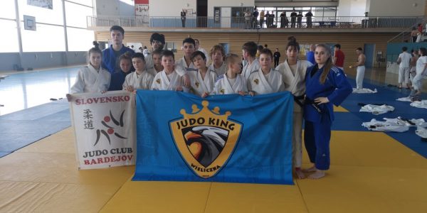 Main image of Judo King