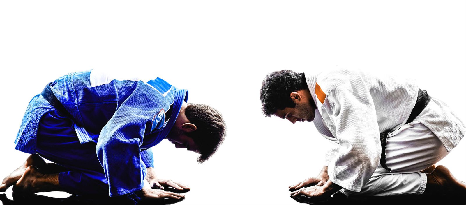 Main image of Judo Klub Bela Krajina