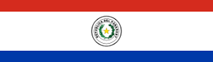 Main image of Judo Paraguay
