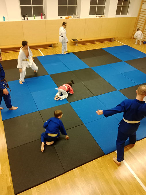 Main image of Judo Römerland Fighters