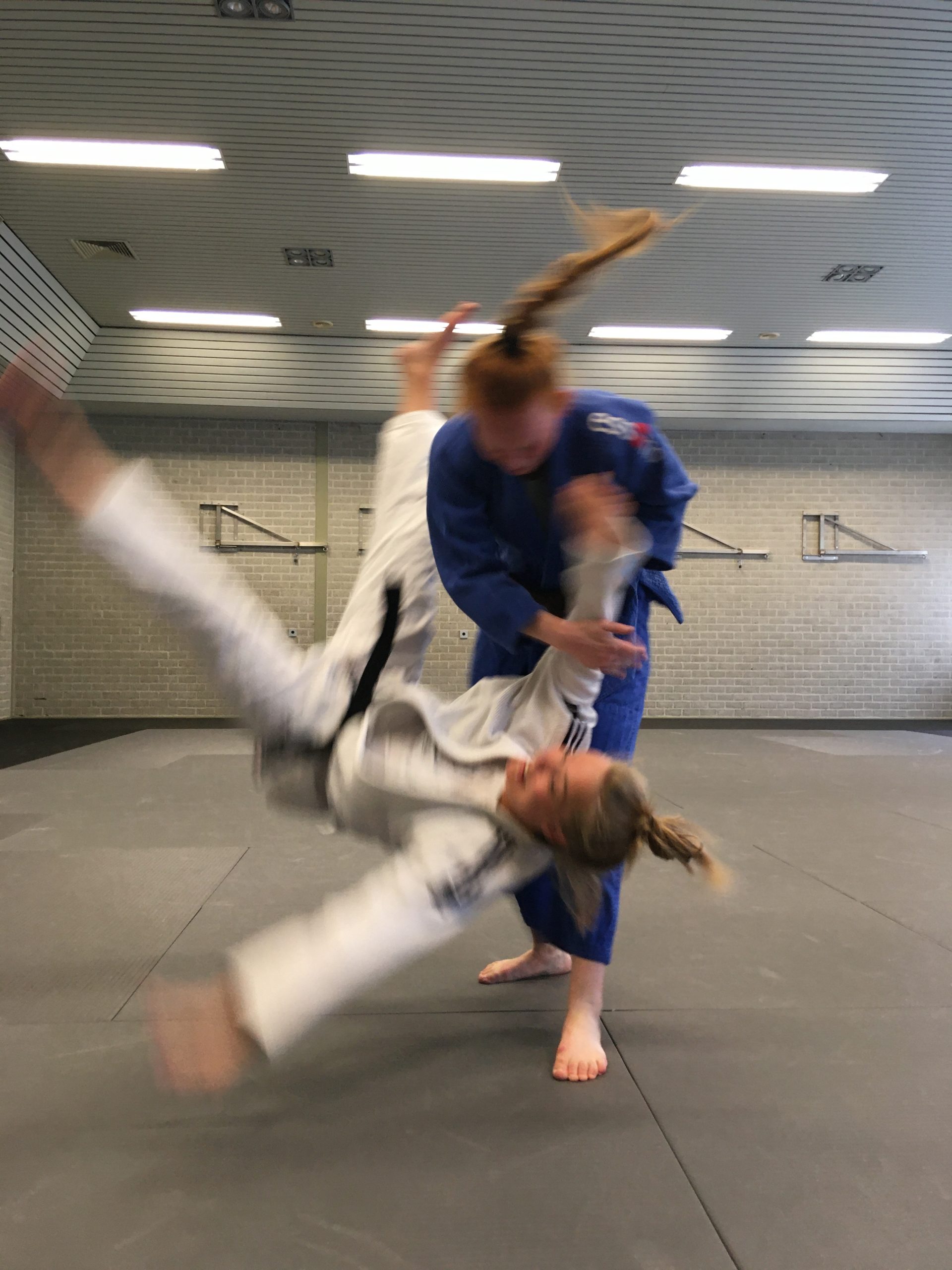 Main image of Judo Ryu Mackaay π₯