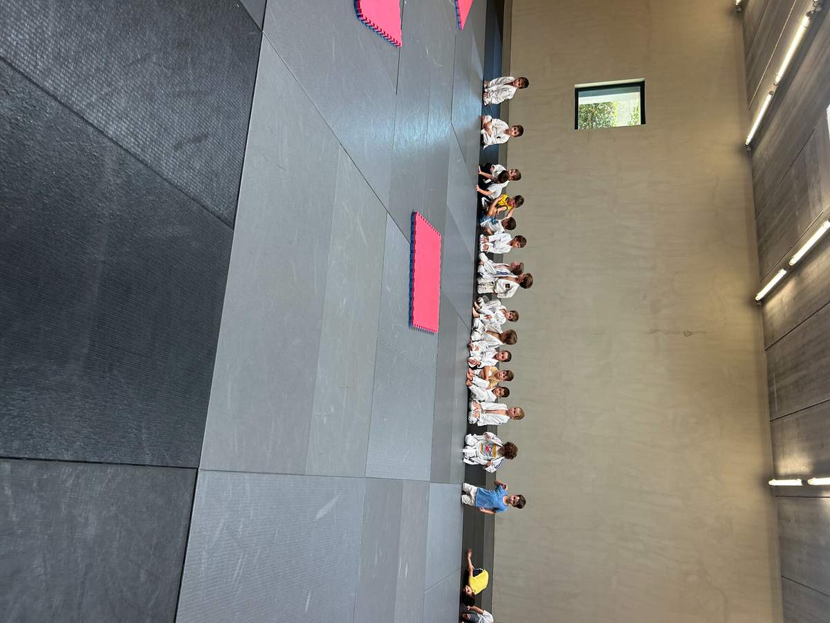 Main image of Judo Saint Cyr sur Mer