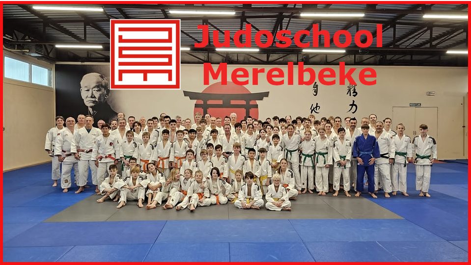 Main image of Judo School Merelbeke VZW
